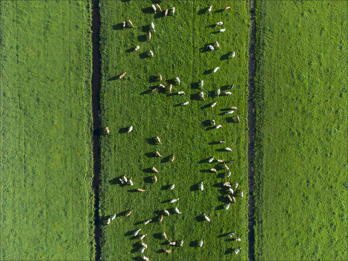 luchtfotografie boerenbedrijf